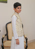 Waist Coat-OKW-019 Smart Fit